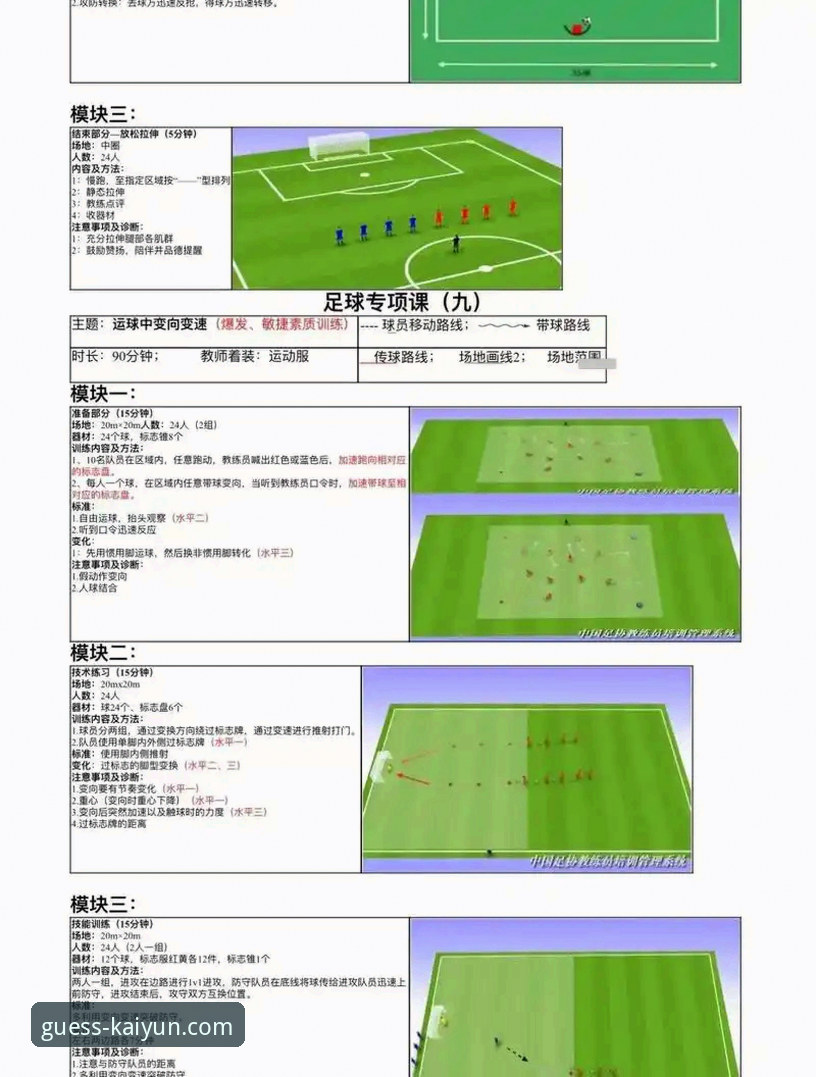 凯运APP安全性 沙特联赛生存指南:从布朗希尔适应经历看跨文化踢球操作教程